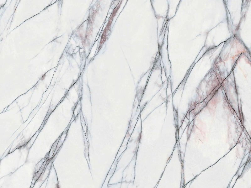 BNL1632306L XIANG XUEMEI
