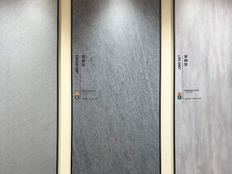 DQS82609Y72 CAESAR ASH