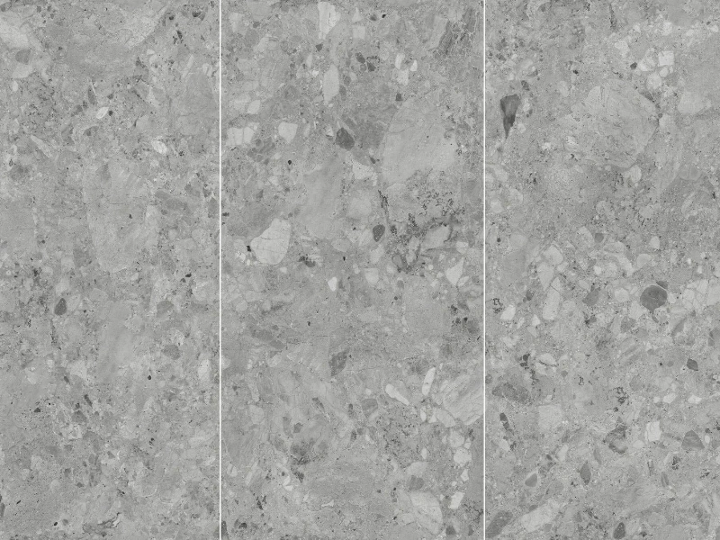 BNL9189397MJ CONGO GRAY