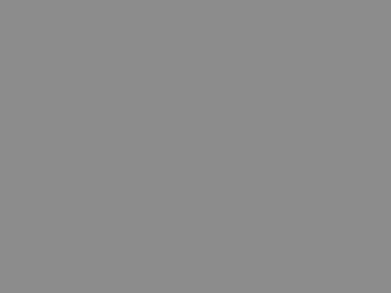 BNL918038Y PURE ASH
