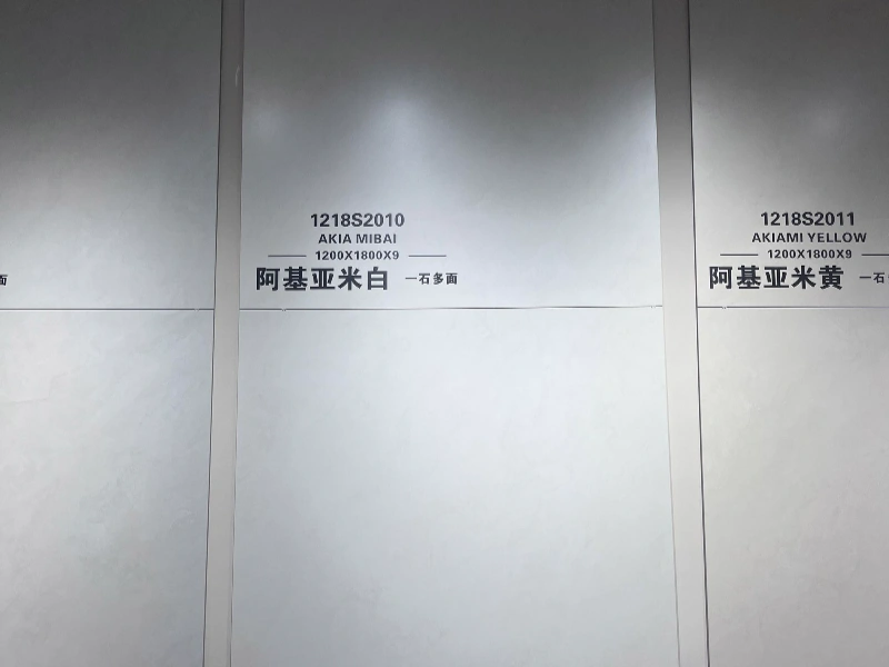 1218S2010 AKIA MIBAI