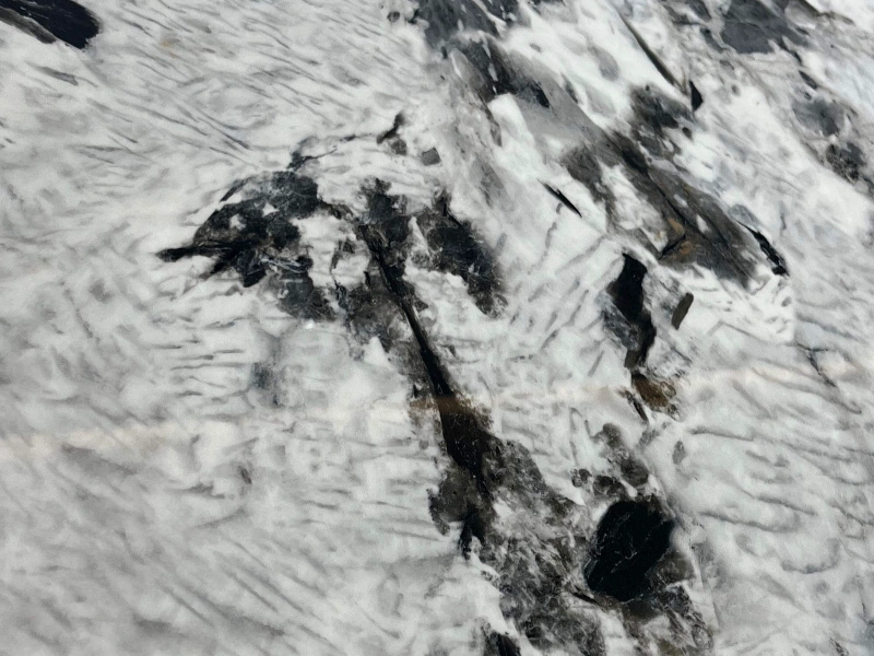 BNL1249424L TIANSHAN MUXUE