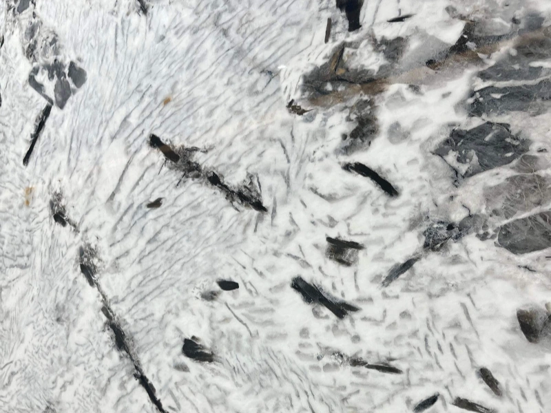 BNL1249424L TIANSHAN MUXUE