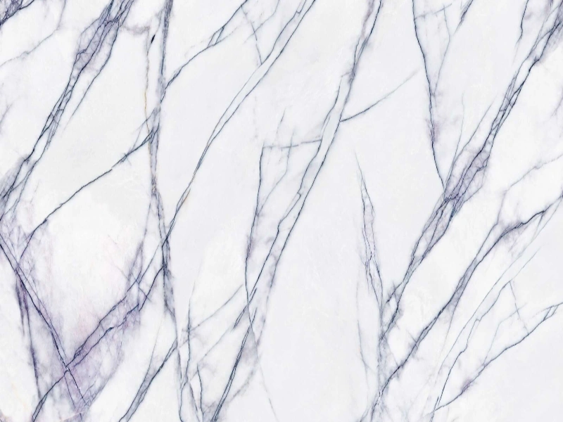 BNL1227306L XIANG XUEMEI
