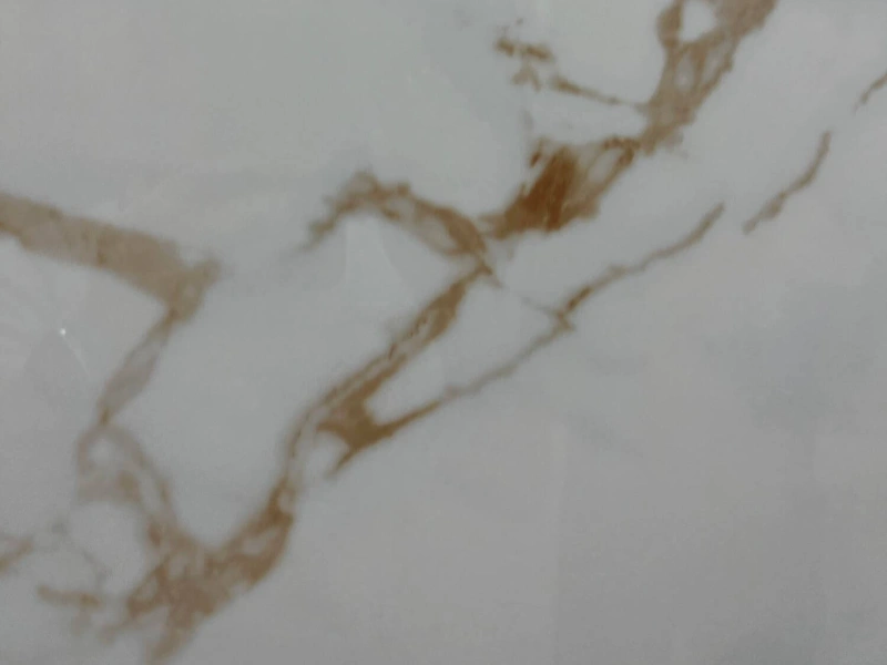 BNL123009L02 ITALIAN GOLDENROD WHITE