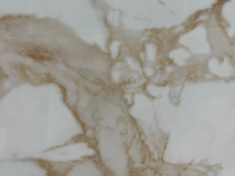 BNL123009L02 ITALIAN GOLDENROD WHITE