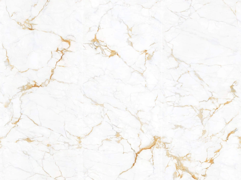 BNL123009L02 ITALIAN GOLDENROD WHITE