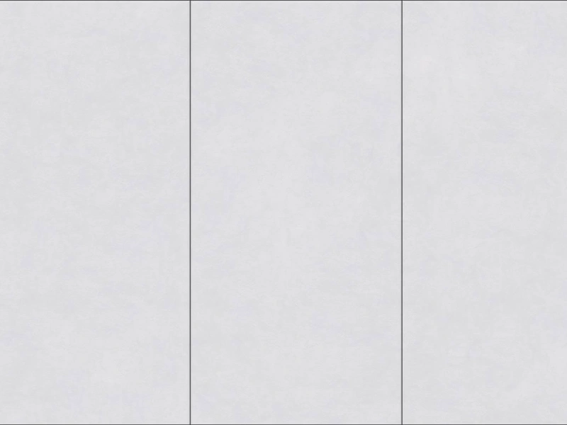 BNL1539YO5 XAOSHU QINGFENG