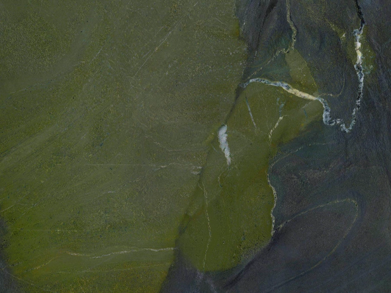 BNL1632929L AVOCADO GREEN