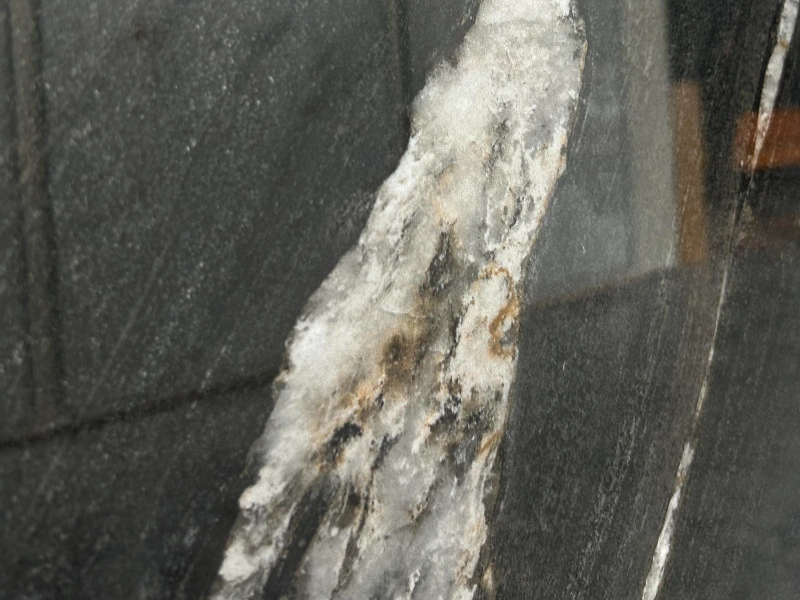 BNL1632838L GUCCIBLACK