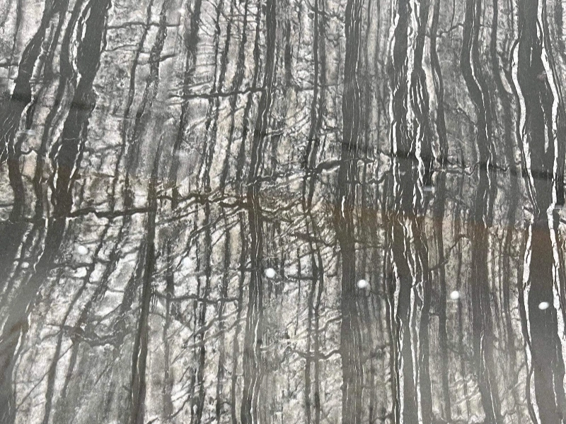 BNL1632309L ANCIENT WOOD GRAIN