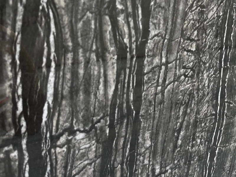 BNL1632309L ANCIENT WOOD GRAIN