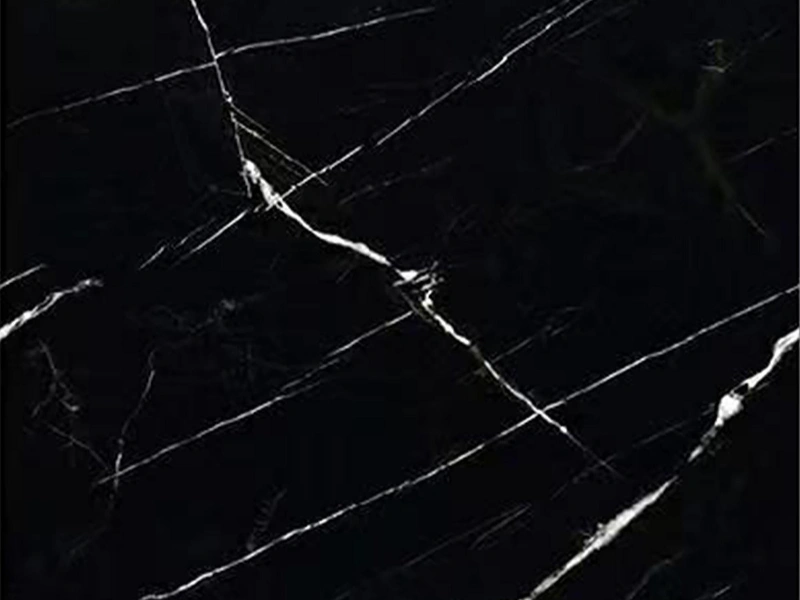 BNL1632580Y NEW BLACK AND WHITE ROOTS