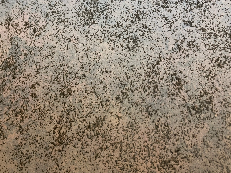 L16322BK411M IMPRINTED BROWN GOLD