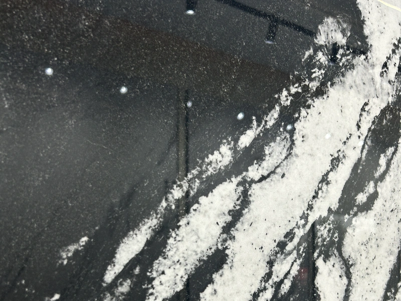 BNL1632581L VERSACE BLACK