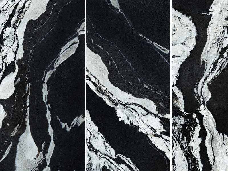 BNL1632581L VERSACE BLACK