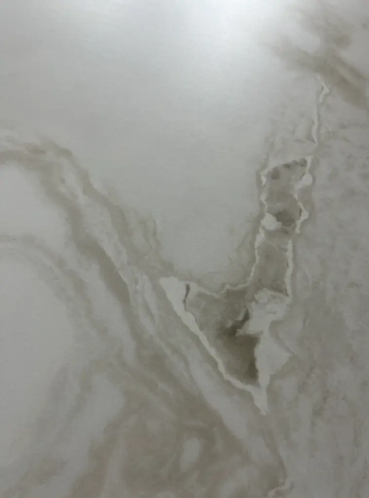 BNL1632497YS FENDI WHITE