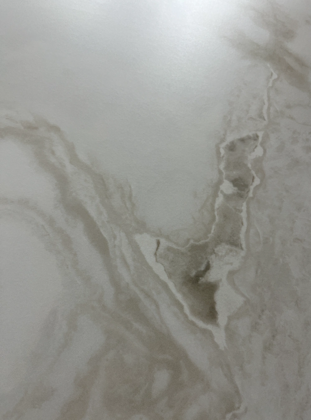 BNL1632497YS FENDI WHITE