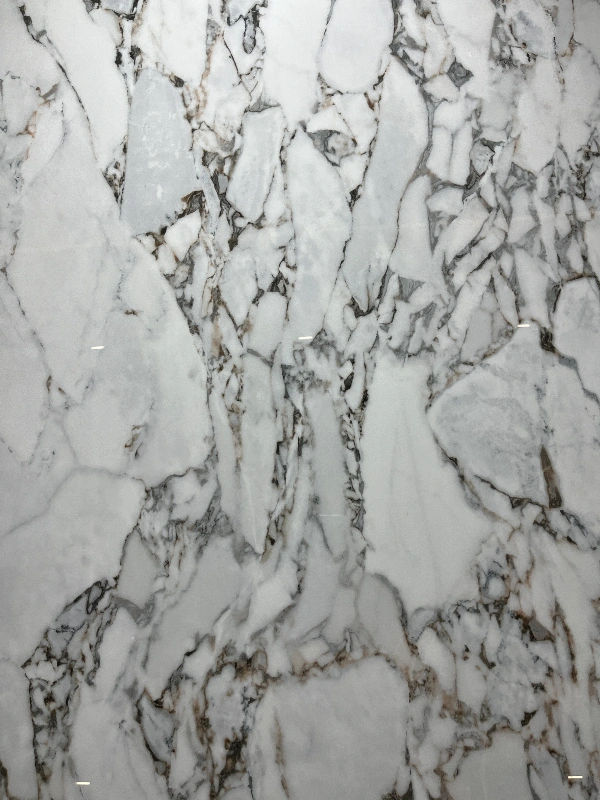 BNL1227301L ELEPHANT WHITE