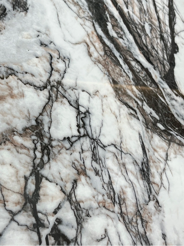 BNL1227304L DRAGONES OCULTOS