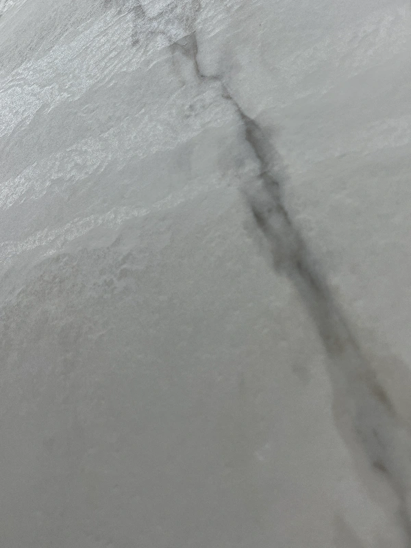 BNL1227308FY 金雕鱼肚