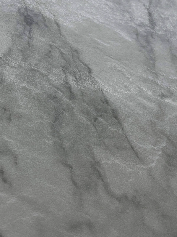 BNL1227471FY THE RETICULATED PATTERNISLARGE AND WHITE