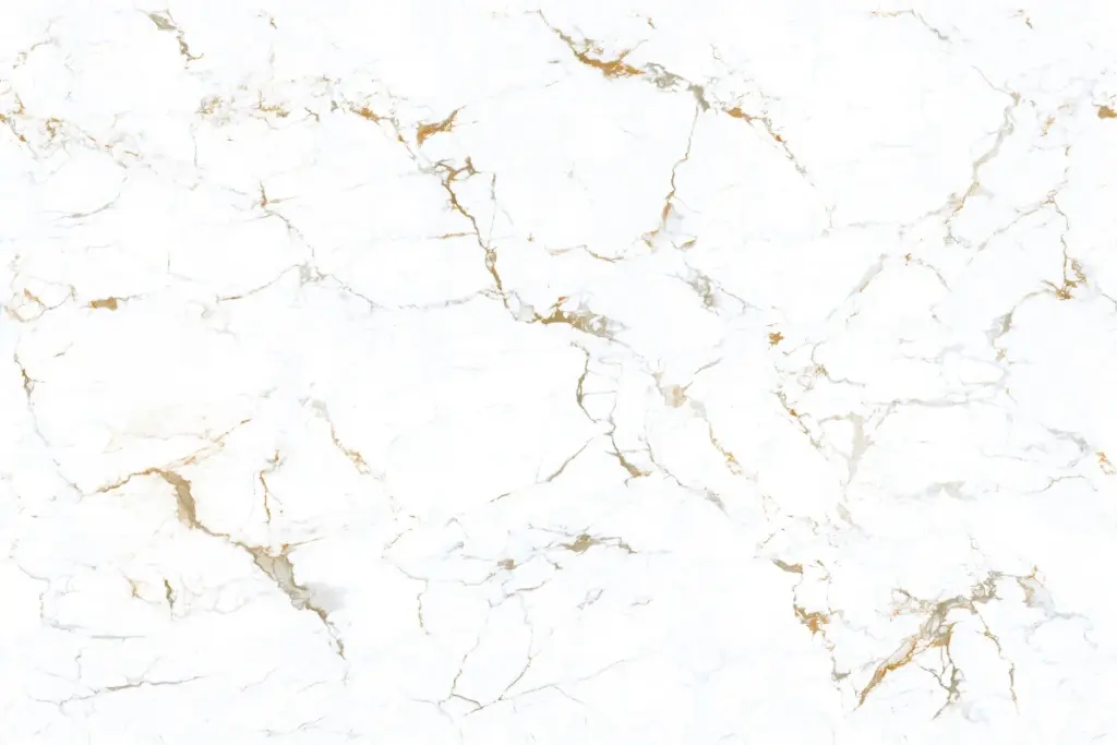 12409L125 NUEVO FISH MAW GOLD