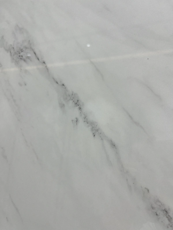 12491147L TIEN SHAN WHITE