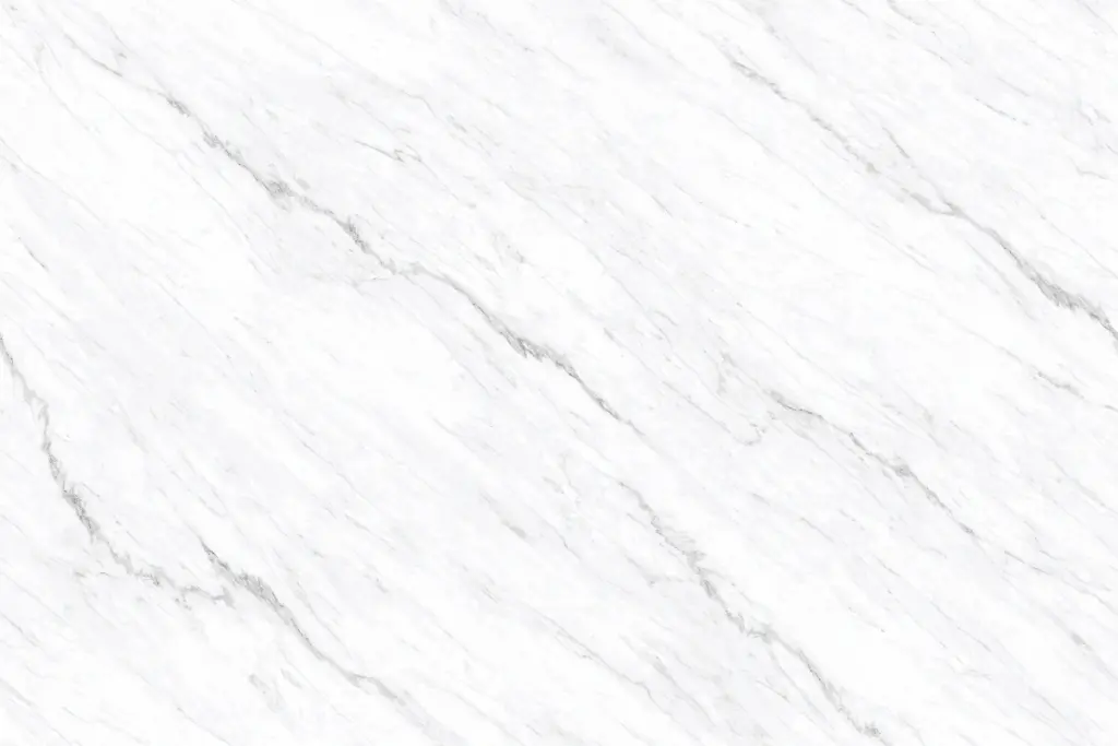 12491147L TIEN SHAN WHITE