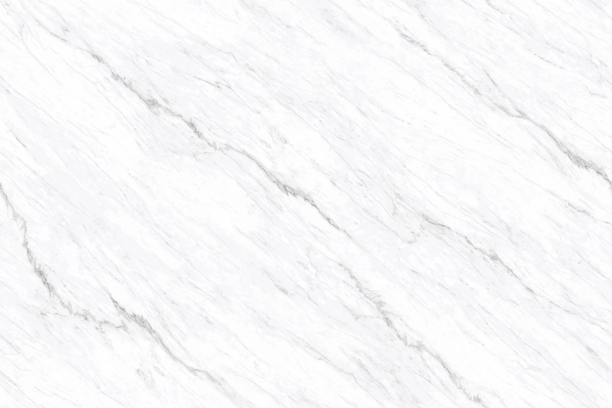 12491147L TIEN SHAN WHITE