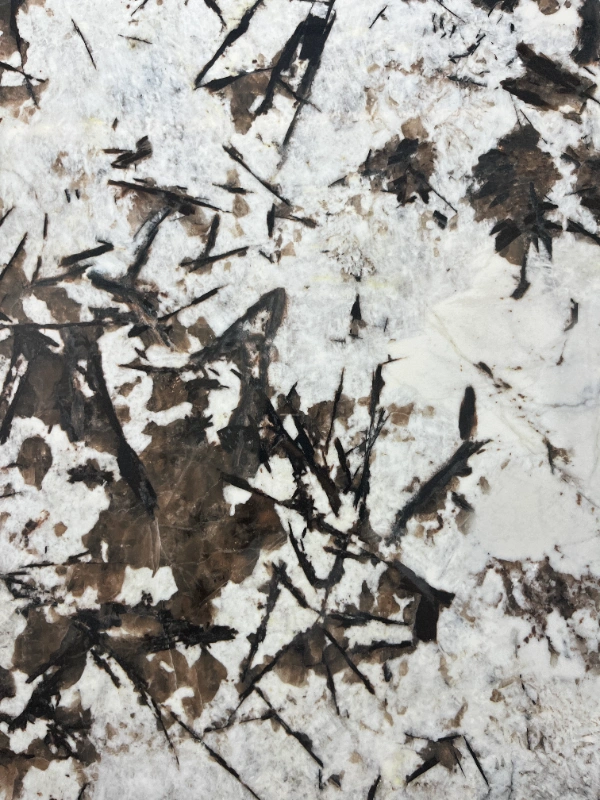 BNL1249411L SNOW MOUNTAIN SILVER FOX