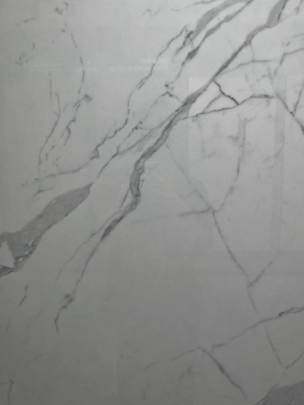 BNL1249491L TOPCARA WHITE