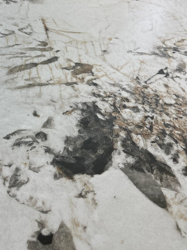 BNL1279063 PANDORA DISPERSADA