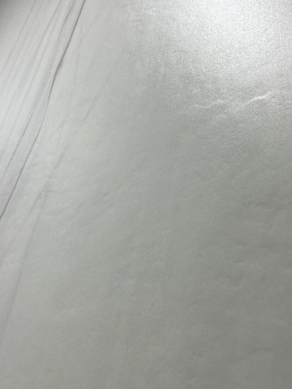 BNL1279109MY ARCTIC GLACIER WHITE