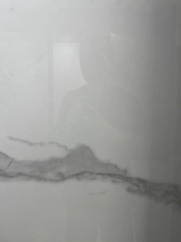 BNL826356L 高级鱼肚白