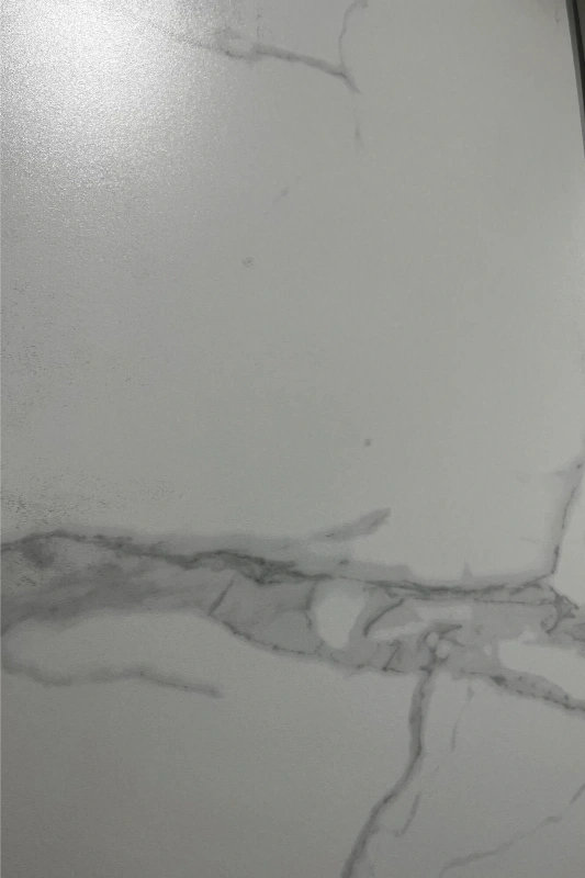 BNL826356Y 高级鱼肚白