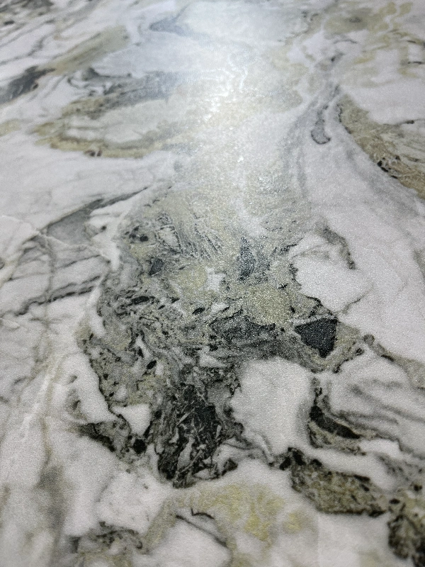 9189021MJ冷翡翠 (3)