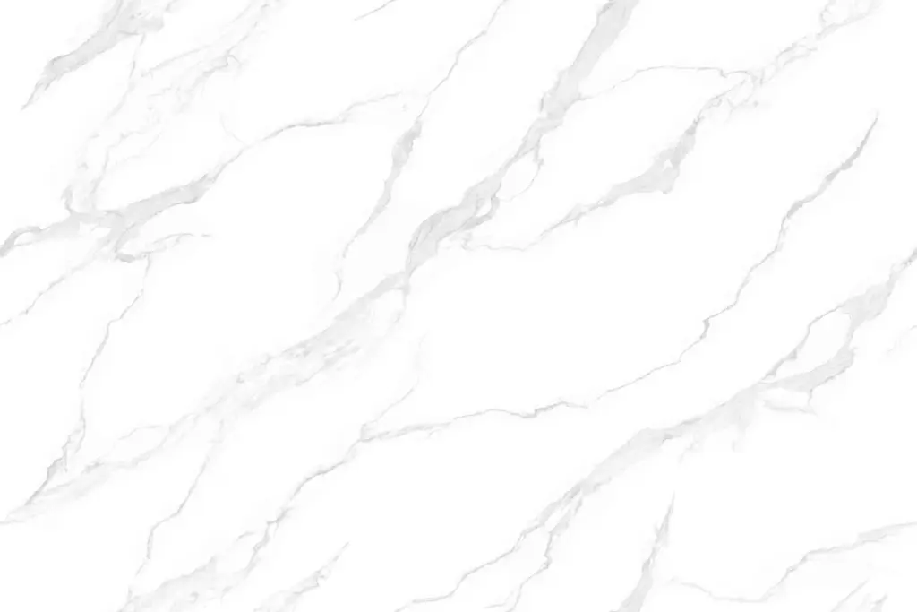 BNL9189116F 皇家鱼肚白