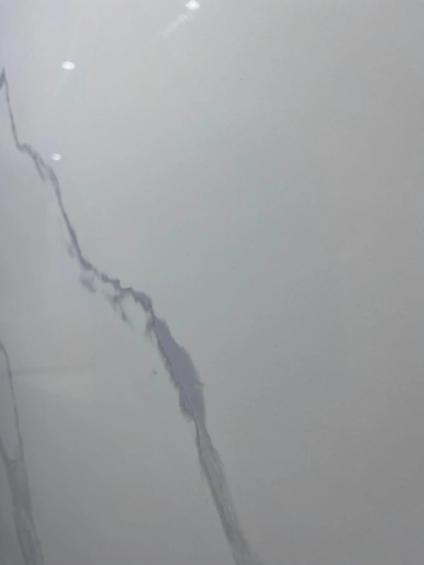 9189116L 皇家鱼肚白-1