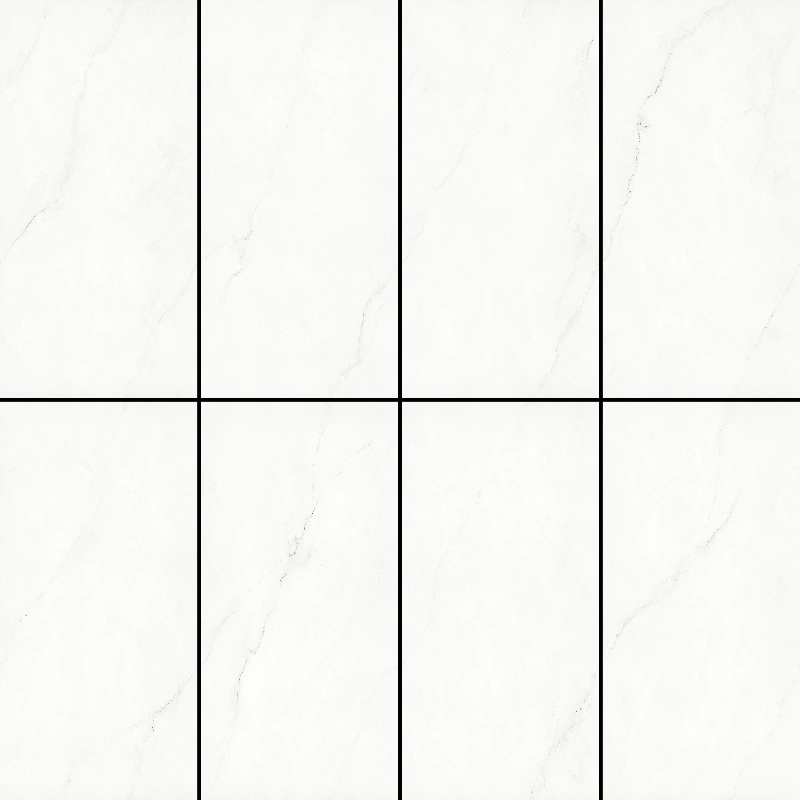 BNL9189125F 林肯白