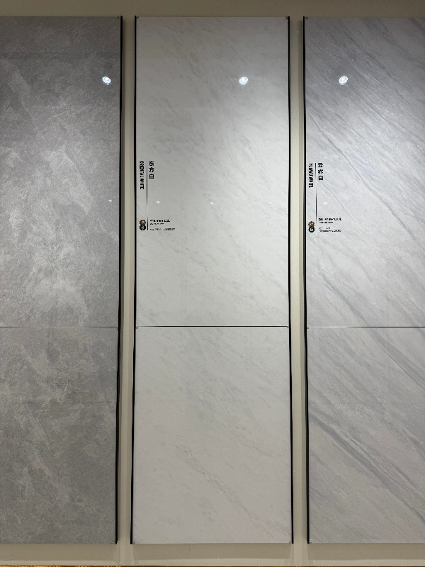 9189162L 东方白-2