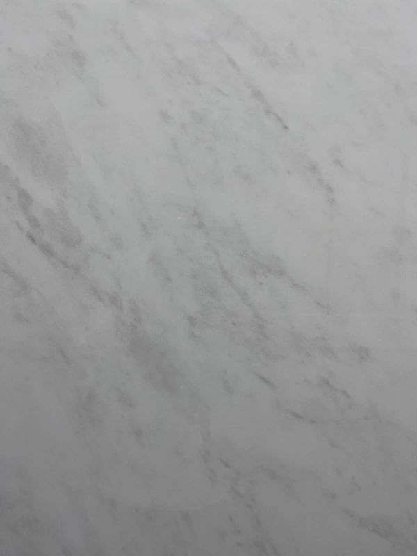 9189162L 东方白-1