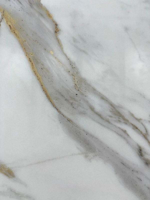 9189163L 金雕鱼肚-2