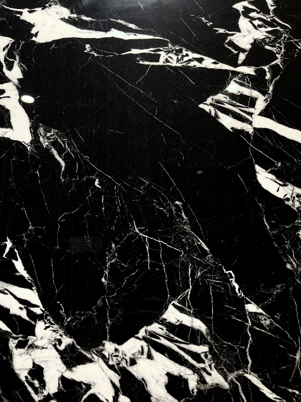 9189199L NAPOLEON BLACK-2