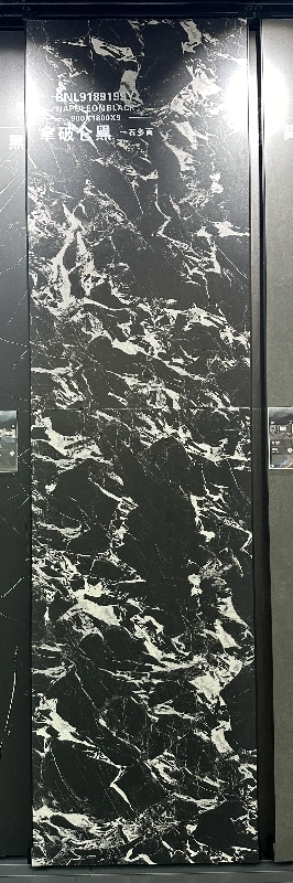 9189199Y 拿破仑黑