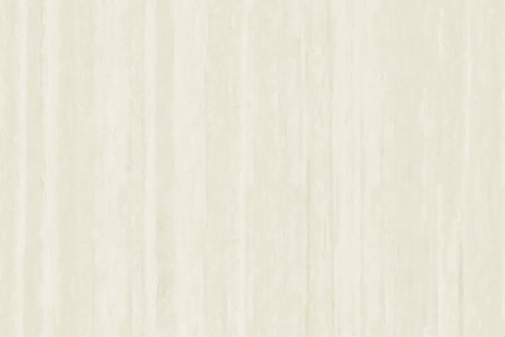 9189200MJ-罗马洞石 (1)