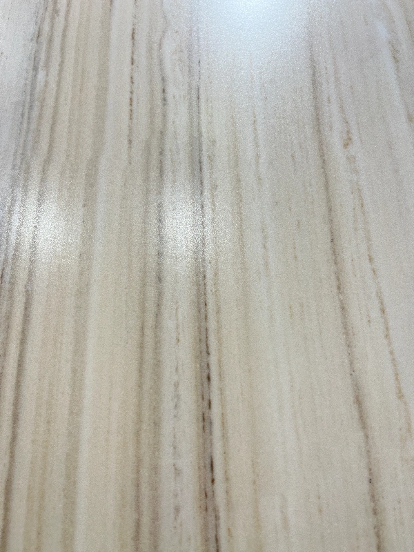 9189204F白金沙 (2)