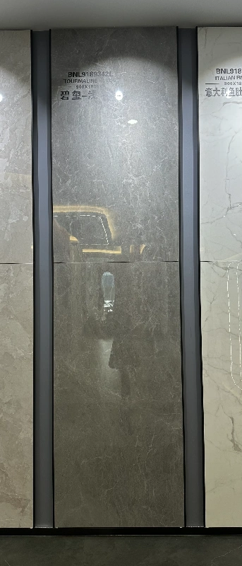 9189342L-TOURMALINE-2