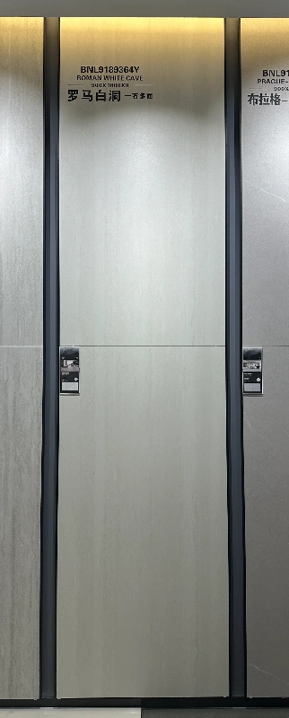 9189364Y罗马白洞 (1)