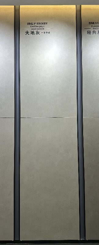 9189366Y大地灰 (1)